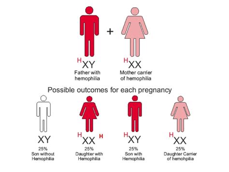 Chapter 5 Principles Of Inheritance And Variation