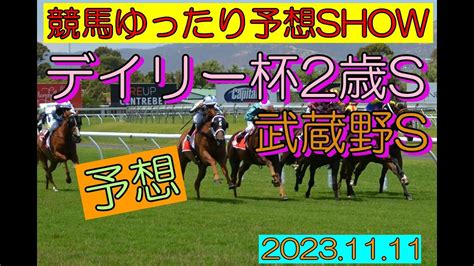 競馬ゆったり予想show【デイリー杯2歳s・武蔵野s】 Youtube