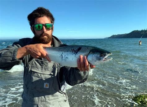 Puget Sounds Beaches Salmon Fishing From Shore