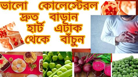 How To Raise Hdl Cholesterol Naturally ভালো কোলেস্টেরল বাড়ানোর উপায়