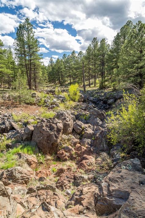 Sycamore Canyon Rim Trail in Arizona. Stock Photo - Image of hidden, exploring: 71818194