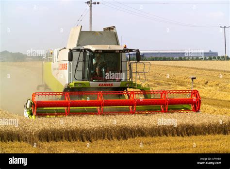 Harvesting The Wheat Claas Lexion Terra Trac Combine Harvester