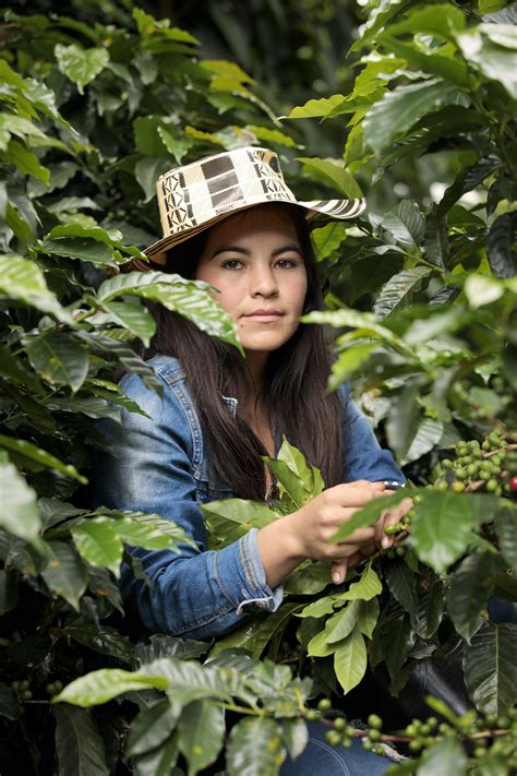 colombia  women data hub