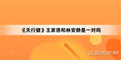 《天行健》王家洛和林安静是一对吗电视剧情 古宫历史网