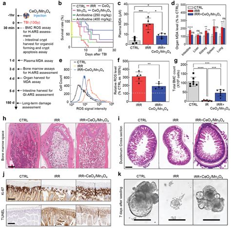 CeO2 Mn3O4 Nanocrystals Prevent Radiationinduced Multiorgan Damage In