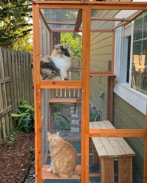 13 Catio Design Ideas for Your Purry Friend