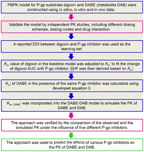 Physiologically Based Pharmacokinetic Modelling And In Vivo I Ki