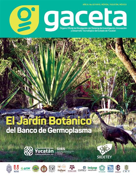 Gaceta By Siidetey Issuu