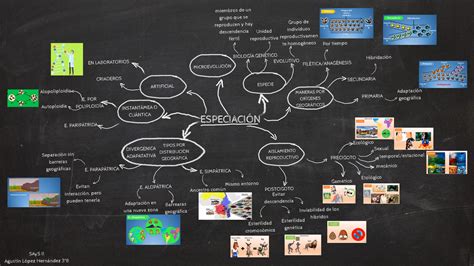 Especiación mindmap