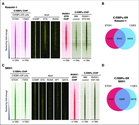 Comparison Of C EBPa Binding After Induction And After RUNX1 ETO Or