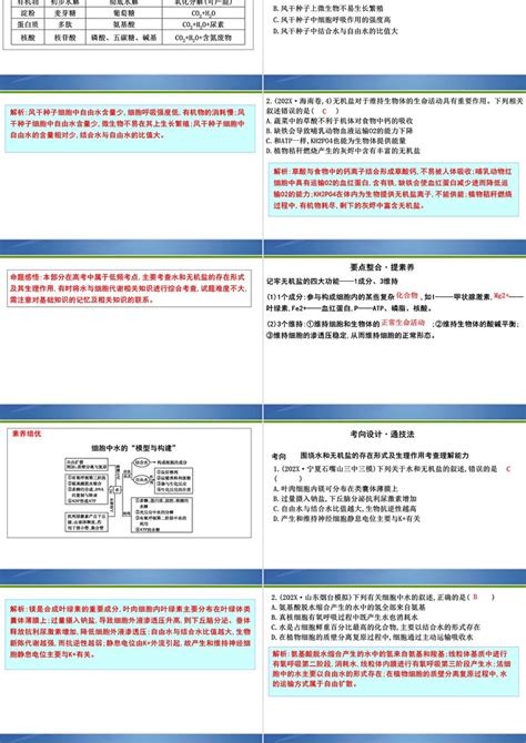 2019版高考生物二轮复习课件：第一部分专题突破专题一 细胞的分子组成ppt卡卡办公