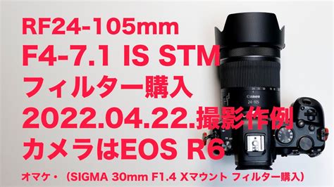 37％割引キヤノンefマウント高価値セリー Canon Rf24 105mm F4 71 Is Stm プロテクター付き レンズズーム