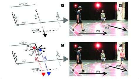 Schematic Displays A C And Photos B D Of A Dyadic A B And