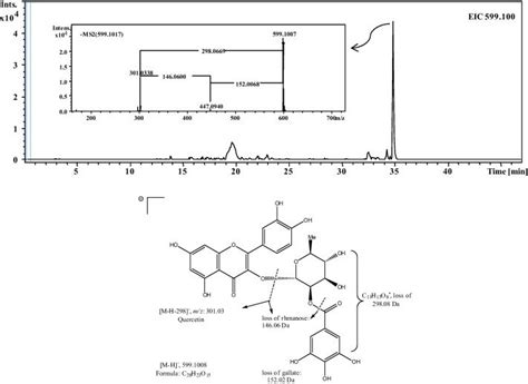 Extracted Ion Chromatogram Eic Together With The Fragmentation