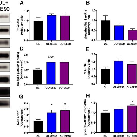 Effect Of Short And Longduration Endurance Training On Mapk Signaling