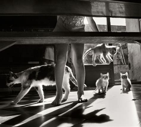 Alain Laboile La Famille 2014 Lensculture Contemporary Photography