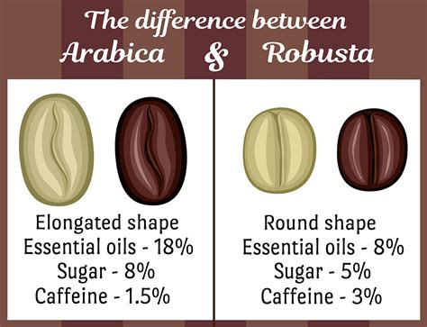 Coffee Beans: Arabica vs Robusta – Black Insomnia Coffee