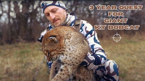 3 Year Quest For Giant Ky Bobcat Self Filmed Youtube