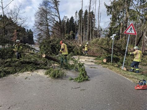 Sturm Sabine legt auch in und um Lindau Bäume um und deckt Dächer ab