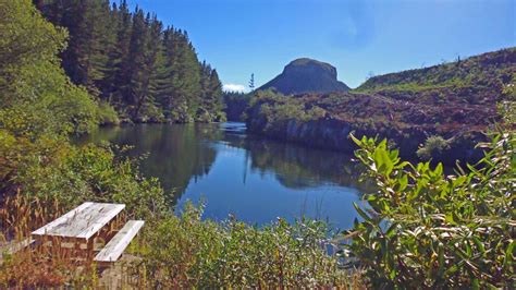 Waikato River Trails: 5 Whakamaru Mountain Bike Trail in Taupo, New ...