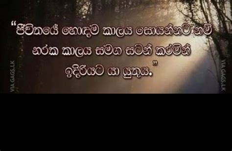 Success Quotes Sinhala. QuotesGram