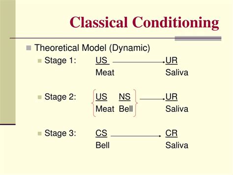 Ppt Classical Conditioning Powerpoint Presentation Free Download Id 3010584