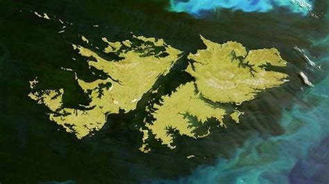 Cambios En Las Islas Malvinas Científicos Descubren Una Anomalía Subacuática