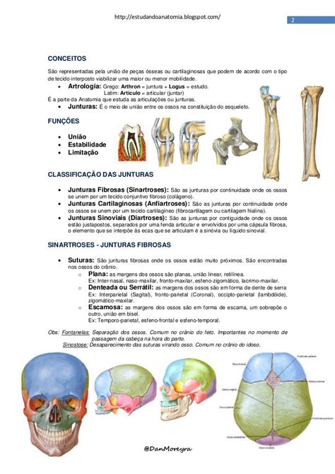 Apostila Sistema Articular Junturas Sistema Articular Material De