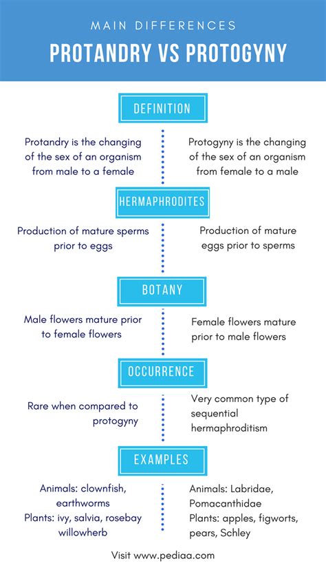 Difference Between Protandry And Protogyny Definition