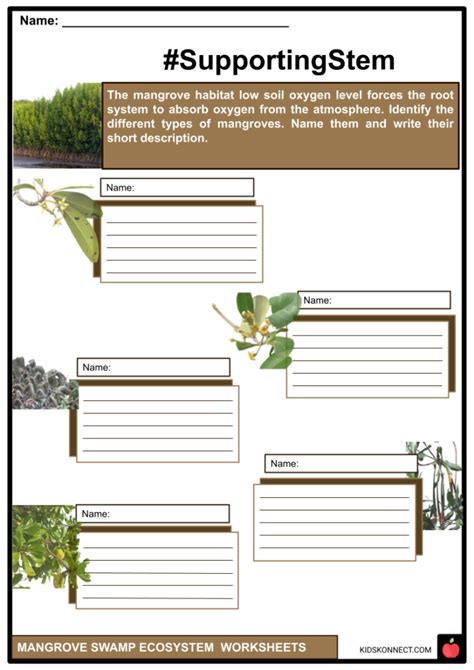 Mangrove Worksheets | Ecosystem, Adaptations, Threats, Status