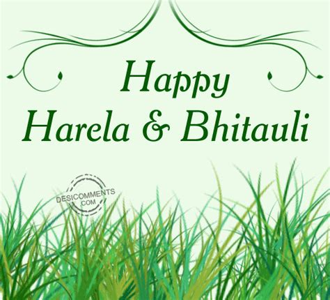 happy harela  bhitauli desi comments