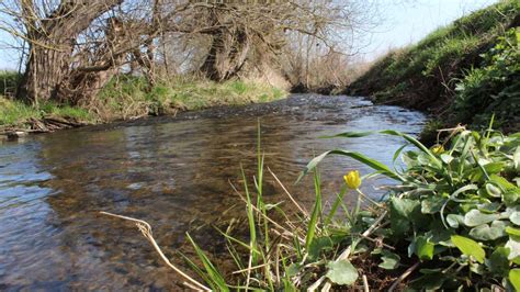 In Waldeck Frankenberg K Nnten B Che Wild Werden