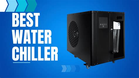 The 5 Best Water Chillers For Cold Plunge Recovatech