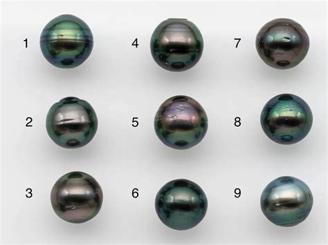 12 13mm Black Tahitian Pearl Near Round Single Loose Piece Undrilled In