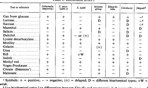 Enterobacteriaceae Biochemical Reactions Chart A Visual Reference Of