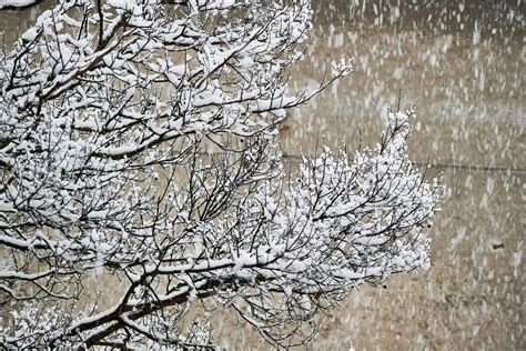 #HaveItBothWays: Global warming and Great Lakes snowfall - Climate