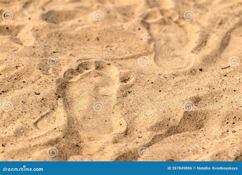 Human Footprint In The Sand Footprint On The Beach Stock Photo Image