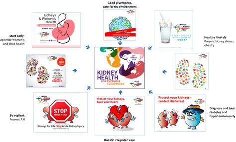 Preventing Ckd In Developed Countries Kidney International Reports