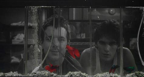 Pin On Rumble Fish