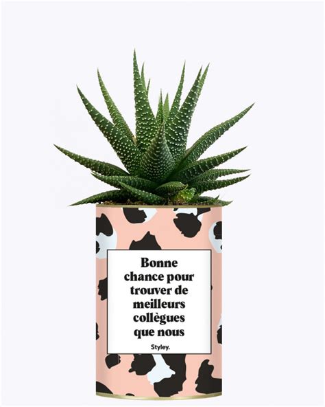 Bonne Chance Pour Trouver De Meilleurs Coll Gues Que Nous Cactus I