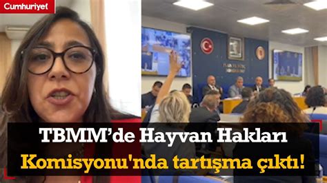 SONDAKİKA Sera Kadıgil ifşa etti TBMMde Hayvan Hakları Komisyonu