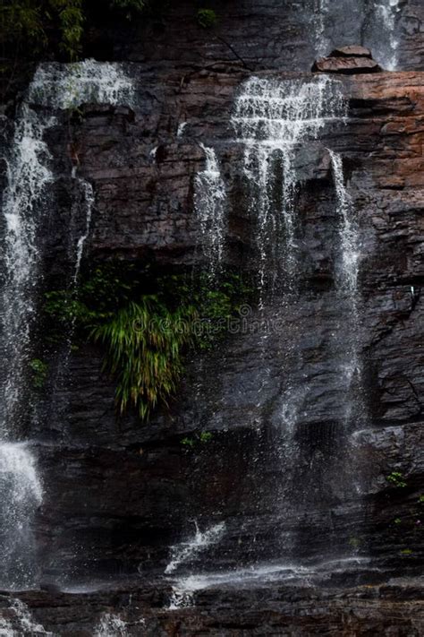 Vertical Shot of Jhari Falls in Chikmagalur District in Karnataka State, India. Stock Photo ...