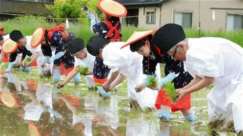 田男と早乙女、豊作祈る 熊本県天草市で「御田植祭」｜熊本日日新聞社