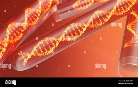 3D Abbildung DNA Molekül seine Struktur Konzept des menschlichen