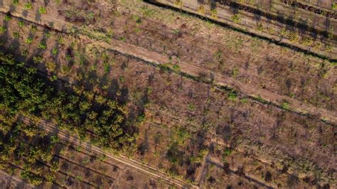 Aerial view of fields and agricultural parcels. 19077066 Stock Video at ...