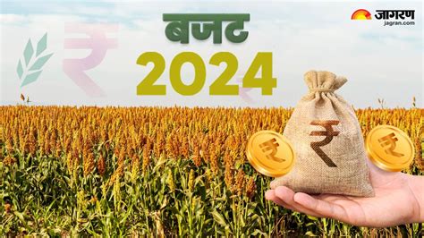 Pm Kisan Yojana Budget 2024 पीएम किसान योजना की राशि में नहीं हुई बढ़ोतरी करोड़ों किसानों को