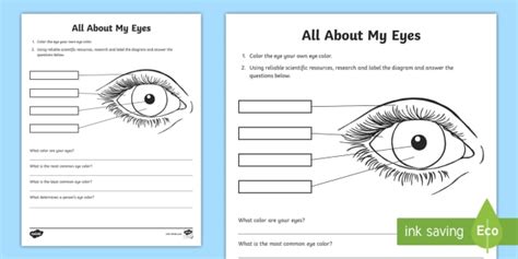 All About My Eyes Science Activity