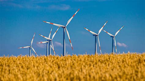 Volksbefragung Liefert Kein Votum Gegen Windkraft I Magazin