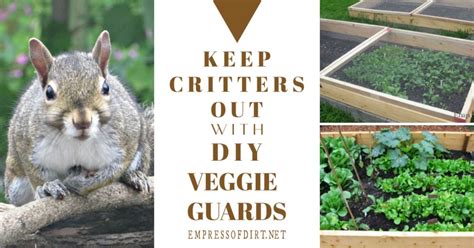 How To Keep Squirrels Out Of A Raised Garden Bed Fasci Garden