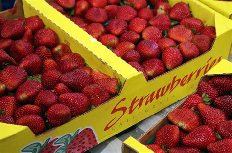 Watsonville Strawberry Festival returns this weekend